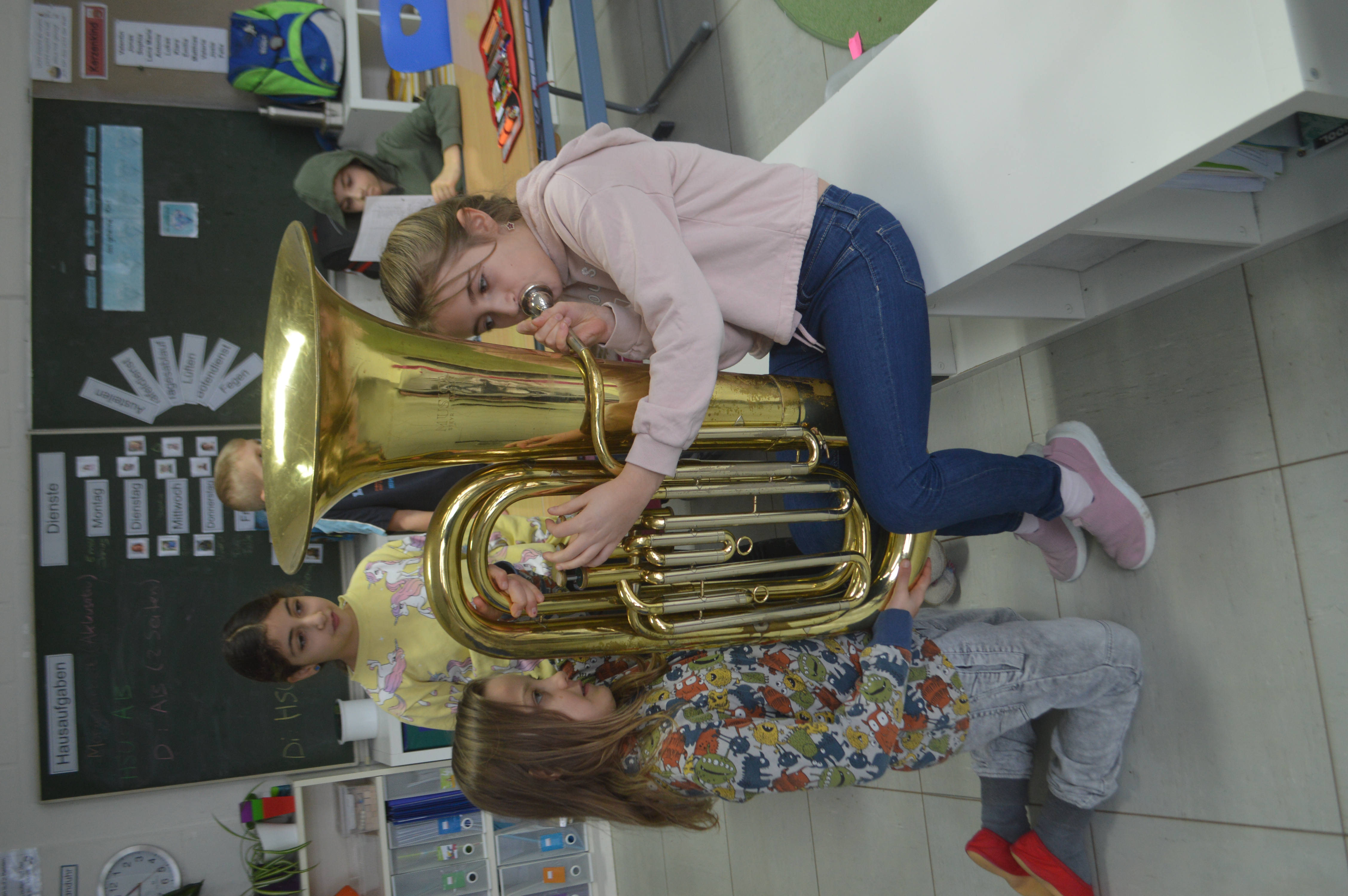 lenau instrument